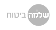 שלמה ביטוח IMG